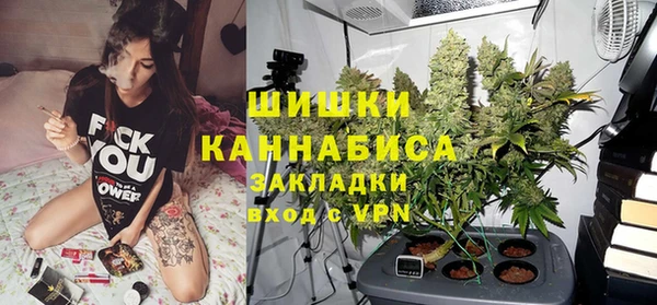 стафф Богородск