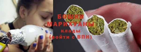 mix Богородицк