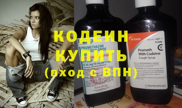 прущие грибы Сясьстрой