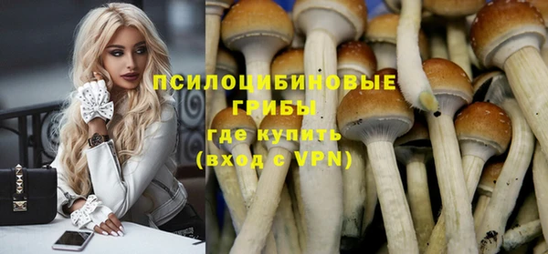 mix Богородицк