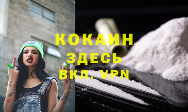mix Богородицк