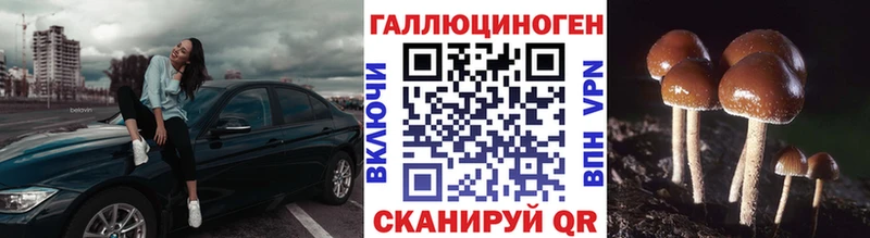 Псилоцибиновые грибы Cubensis Вуктыл