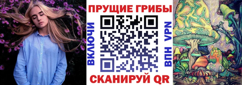 Галлюциногенные грибы Psilocybe  что такое наркотик  Вуктыл 
